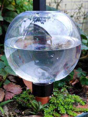 1 st. 500 ml bolvormige automatische watergeefbak voor buiten, binnenplaats en bonsai