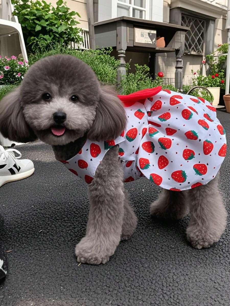 宠物用品小型犬花朵公主裙猫咪泰迪新款宠物衣服可爱狗裙子夏季薄款宠物配饰 - 藍色 - 查看 1