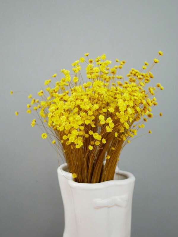 30/60/100/200 pièces, tiges de fleurs séchées naturelles, marguerites étoilées brésiliennes décoratives séchées, mini bouquet de marguerites et de camomille pour arrangements floraux de mariage, décorations de maison, cadeaux pour la Saint-Valentin, décorations d'automne