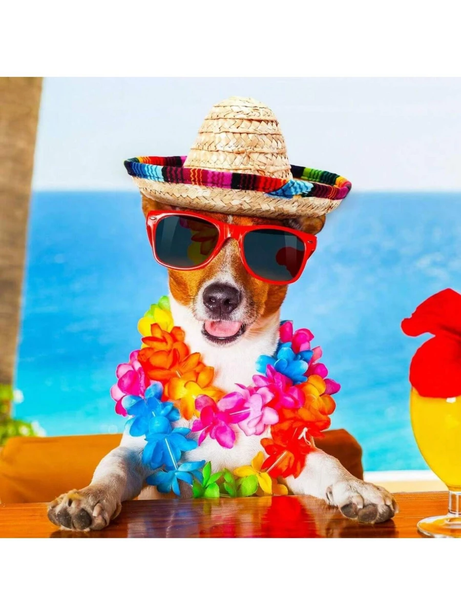 时尚宠物太阳帽 - 透气安全，适合猫和小型/中型犬 - 黃色 - 查看 1