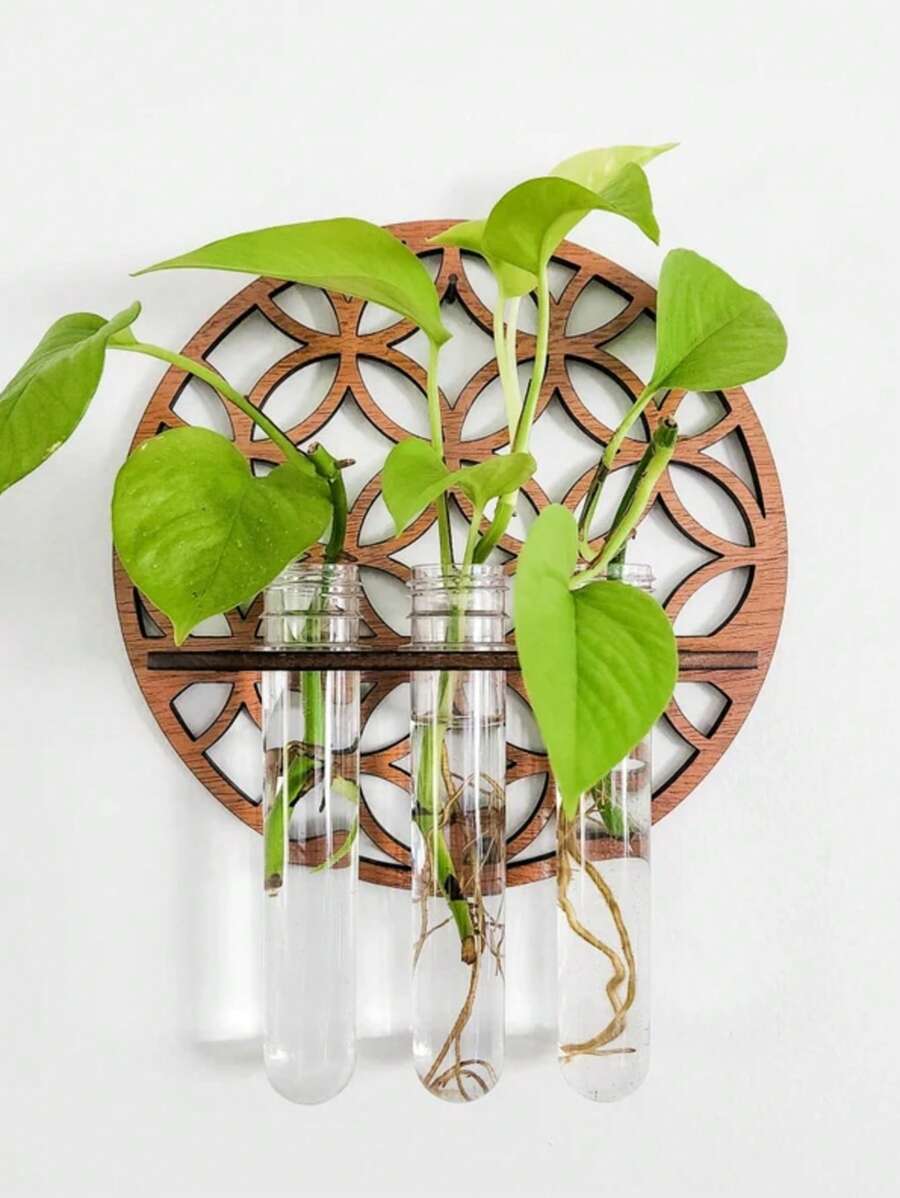 1 套壁挂式圆形木质植物繁殖站，带 3 个塑料试管花瓶、水培花盆架、客厅卧室家居装饰