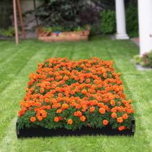 CNCEST 6 Pack Steel Landscape Edging 40 Inch Length, 8.4 Inch Depth Steel Edging Border For Landscaping Lawn Garden Metal Edging For Landscaping Lawn Garden (Upgraded Version) - 黑色 - 查看 3