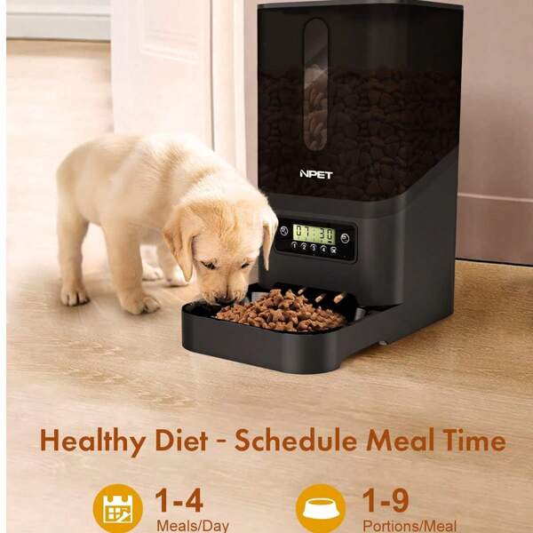 NPET Black Automatic Cat Feeder, 6L Dog Food Dispenser For Pet Dry Food, 1-4 Meal Per Day Automatic Dog Feeder For Cats & Dogs