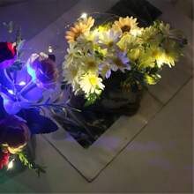 1M/2M/3M Luces de cadena de alambre de cobre LED cálidas/de colores alimentadas por batería Cadena de luces mini para fiesta, hogar, regalo, decoración (3 modos: parpadeo/parpadeo lento/luz constante)