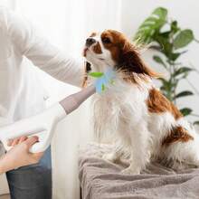 Dog Dryer Pet Hair Blower W/Negative Ion Function LED Screen Temperature Control - US A Type Plug(110-127V) - View 2
