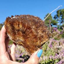 Raw Amber Calcite Cluster,Amber Calcite Mineral,Honey Calcite, Raw Calcite, Crystal Gift,Holiday Gifts