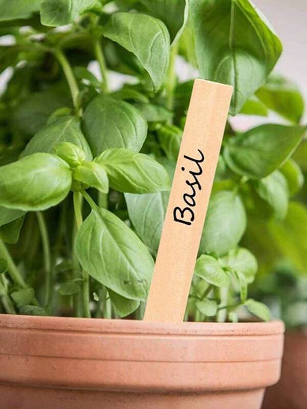 200pcs Wooden Garden Label Plant Name Tags, Blank Flower Markers, School Supplies,Back To School