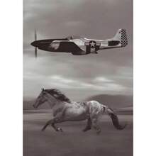 1pc /3PCS Wall Arts Posters Optional Frame For Jets A10 F22 F14 F15 F16 Apache Posters Canvas Wall Art Printing, Suitable For Residential And Dormitory Walls, Living Room And Bar Decoration, Dining Or Bathroom, Room Decoration, High Quality Without Frames, Frameless/Framed Canvas Art ,Wall Art With Frame