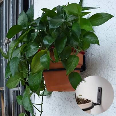 1 pieza Soporte multifuncional de metal para plantas: Estantería versátil para colgar en la pared, adecuado para varias plantas, accesorio de decoración rústica para el hogar, sostiene plantas, cestas y tazones para gatos, fácil instalación, uso interior y exterior, herramienta de jardinería esencial