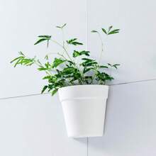 1 pièce pot à fleurs en plastique mural, vase semi-circulaire créatif pour plantes, jardinière hydroponique d'intérieur pour balcon, décoration de jardin, extérieur, jardinière, pot à plantes, jardinage