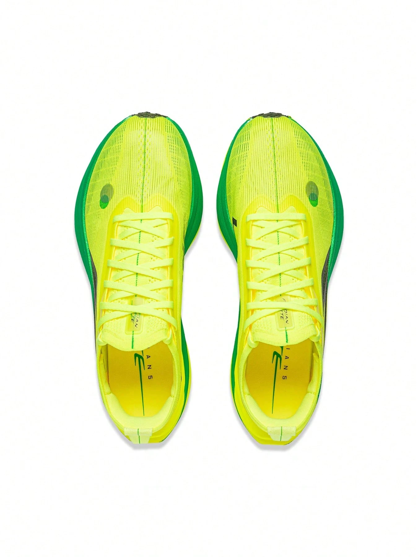 Amarillo fluorescente/nuevo verde básico