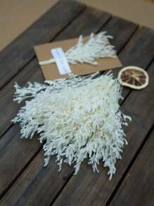 50/100/300 件天然保鲜满天星干花 - 优雅永恒的满天星，适合家庭、办公室、婚礼、圣诞节、万圣节派对、DIY 工艺品，免维护，适合 14 岁及以上人群