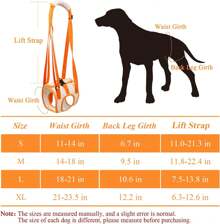 Arnés de soporte para patas traseras, arnés para perros pequeños, medianos y grandes, elevador para movilidad de patas traseras y perros mayores. - Naranja - Ver 2