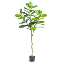 Violin Feige 81x8185cm Odorless Waterproof Artificial Plant In Pot Ideal For Bedroom Study Living Room Decoration