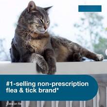 Seresto Cat Vet-Recommended Flea & Tick Treatment & Prevention Collar For Cats | 8 Months Protection - 白色 - 查看 3