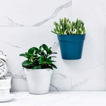 1 pièce pot à fleurs en plastique mural, vase semi-circulaire créatif pour plantes, jardinière hydroponique d'intérieur pour balcon, décoration de jardin, extérieur, jardinière, pot à plantes, jardinage