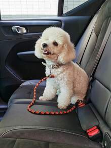 10mm Nylon Reinforced Round Rope, Multi-Color, Puncture Resistant Car Safety Leash, Suitable For Pets, Cats And Car Accessories, Can Be Used For Outdoor And Car Seat