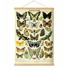 BAEMEFLE Vintage Butterfly & Insect Illustrations - Framed Canvas Art For Home And Office Decor, Perfect For Bedroom And Living Room Walls - Multicolor - View 5