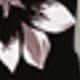 Black and White Flower