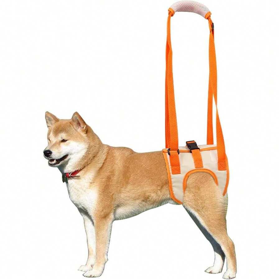 Arnés de soporte para patas traseras, arnés para perros pequeños, medianos y grandes, elevador para movilidad de patas traseras y perros mayores. - Naranja - Ver 1