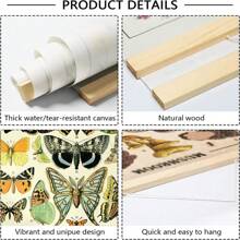 BAEMEFLE Vintage Butterfly & Insect Illustrations - Framed Canvas Art For Home And Office Decor, Perfect For Bedroom And Living Room Walls - Multicolor - View 8