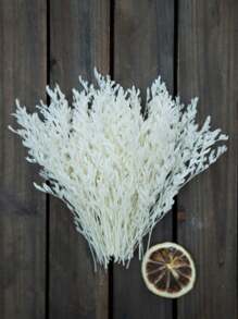 50/100/300 件天然保鲜满天星干花 - 优雅永恒的满天星，适合家庭、办公室、婚礼、圣诞节、万圣节派对、DIY 工艺品，免维护，适合 14 岁及以上人群