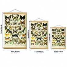 BAEMEFLE Vintage Butterfly & Insect Illustrations - Framed Canvas Art For Home And Office Decor, Perfect For Bedroom And Living Room Walls - Multicolor - View 7