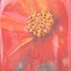 Black Original Flower