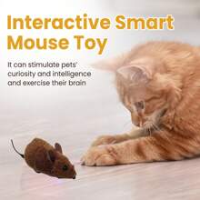 1pc Realistic Plush Mouse Doll Designed For Cat Lover And Cat Mom Loves & Dog Lover And Dog Mom Loves. This Fake Mouse Imitates The Appearance And Movement Of A Real Mouse, Attracting Cat/Dog Lover Gift And Dog/Cat Mom Love Pets Attention And Helping Them Relieve Boredom. It Encourages Cat/Dog Lover Gift And Dog/Cat Mom Love Pet-Owner Interaction And Increases Cat/Dog Lover Gift And Dog/Cat Mom Love Pet Activity And Entertainment.