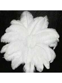 5 قطع من الريش الأبيض الاصطناعي طويل الساق لديكور الأداء على المسرح، ديكور أعراس، عيد الحب، حفلات، والزهور DIY