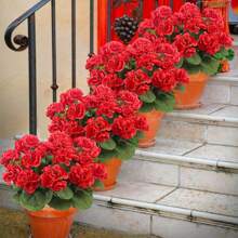1/2/4pcs Artificial Shrubs Geraniums - Realistic Pink Flowers With Green Foliage For Indoor & Outdoor Decor, Perfect For Garden, Porch, Patio, Window Box, And Hanging Planter, Garden Decor , Maintenancefree Plants, Artificial Outdoor Flowers Shrubs
