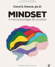 Mindset - Livro único - Visão 1