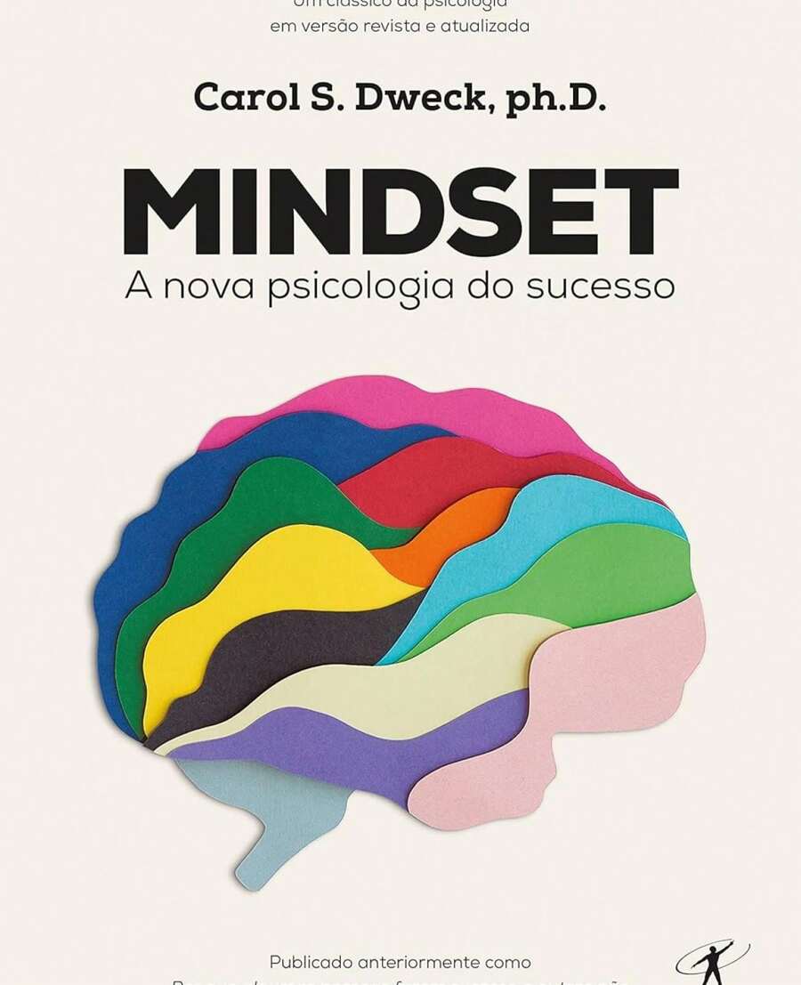 Mindset - Livro único - Visão 1