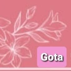 Gota moda feminina