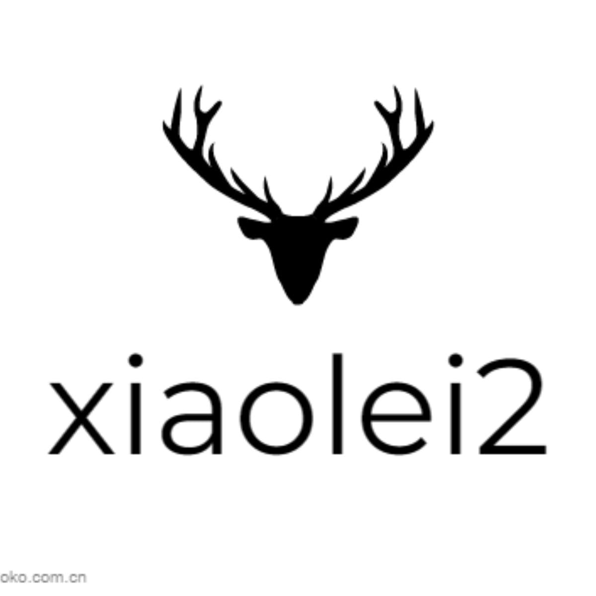 XIAOLEI2