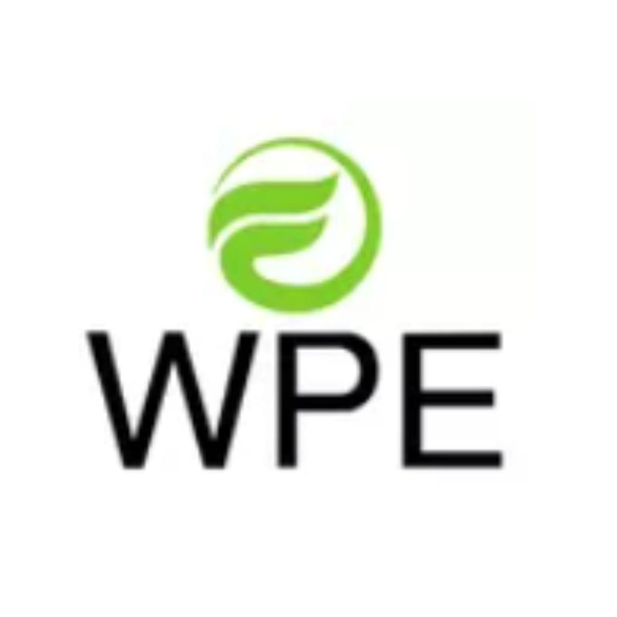 WPE ELETRONICOS LTDA
