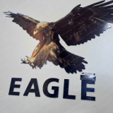 Eagle América