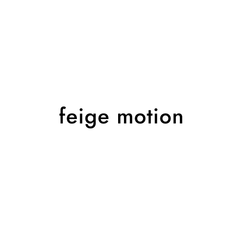 feige motion