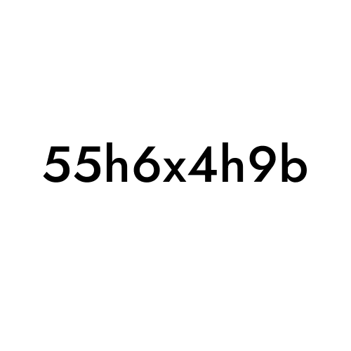 55h6x4h9b