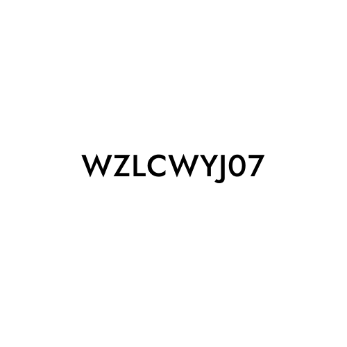 WZLCWYJ07