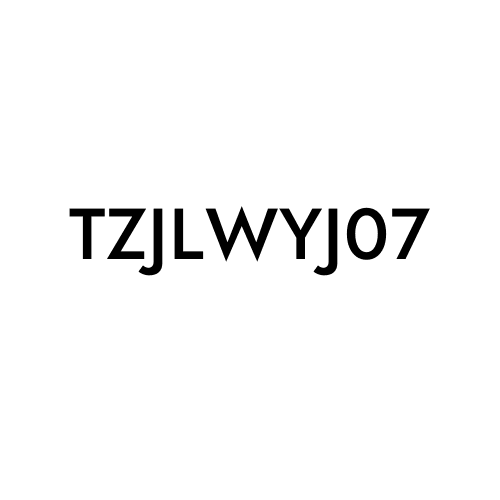 TZJLWYJ07