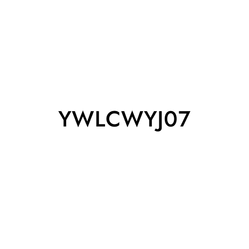 YWLCWYJ07