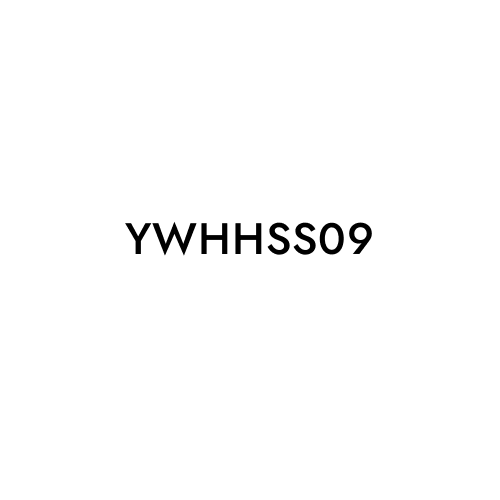 YWHHSS09