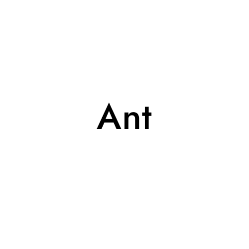 Ant
