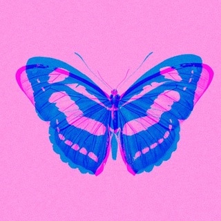 Butterfly Decor