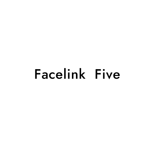 Facelink  Five