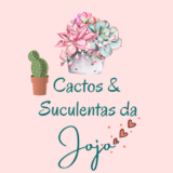 Cactos e Suculentas