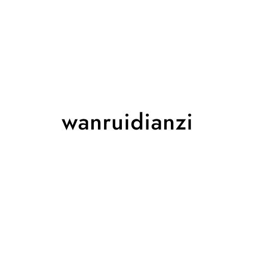 wanruidianzi