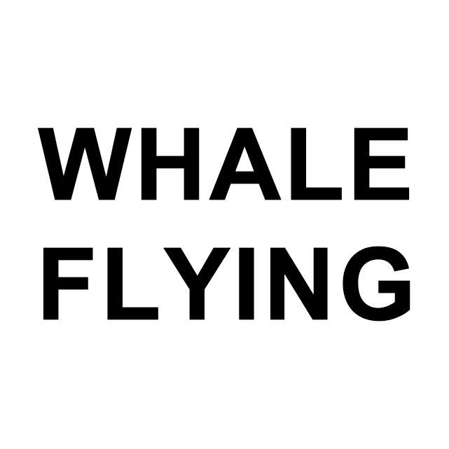 WHALE FLYING