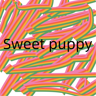 Sweet puppy